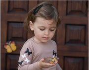 Butterfly collection